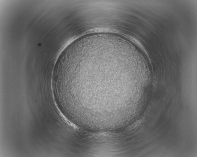 X0000056350847200509232103