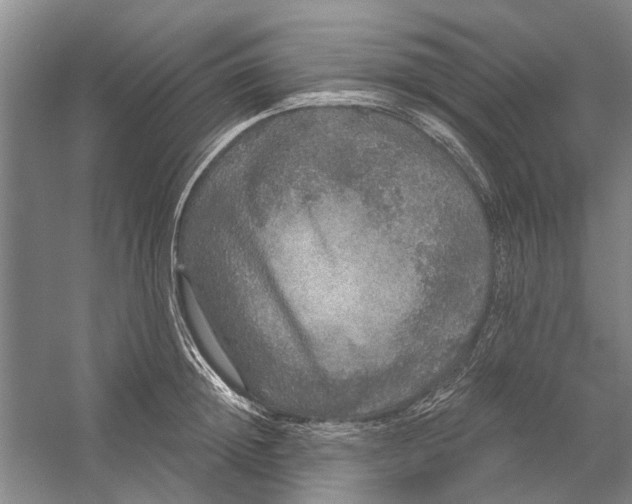 X0000056350852200509232103