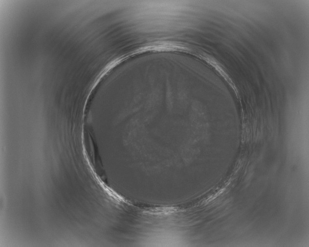 X0000056350853200509232103