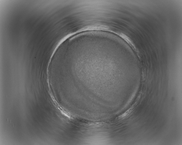 X0000056350854200509232103