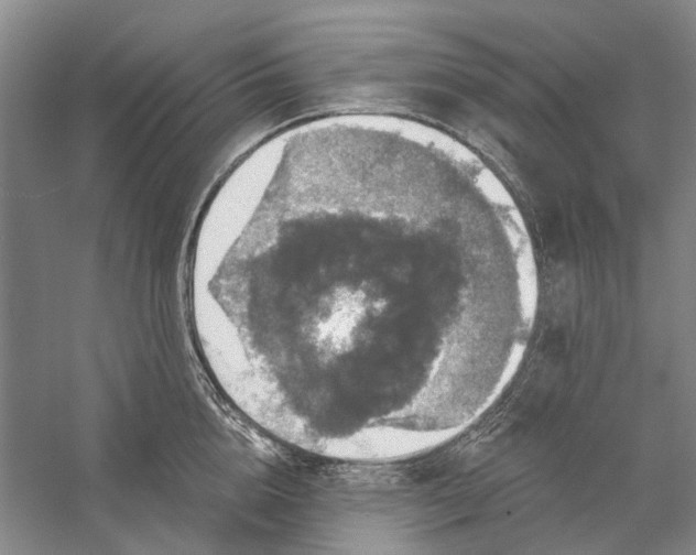 X0000056350856200509232103