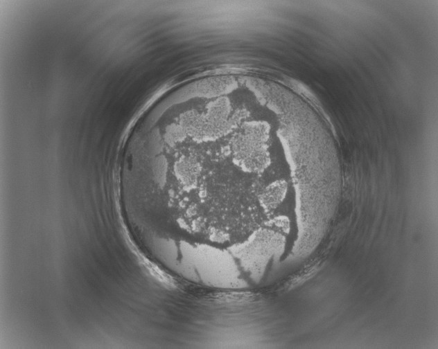 X0000056350859200509232103