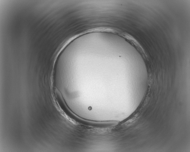 X0000056350860200509232103