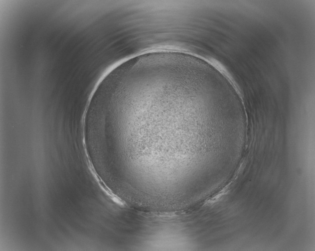 X0000056350862200509232103