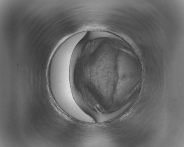 X0000056350864200509232103