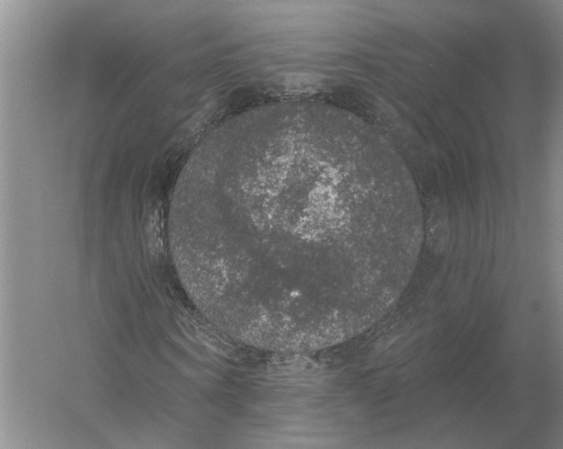 X0000056350866200509232103