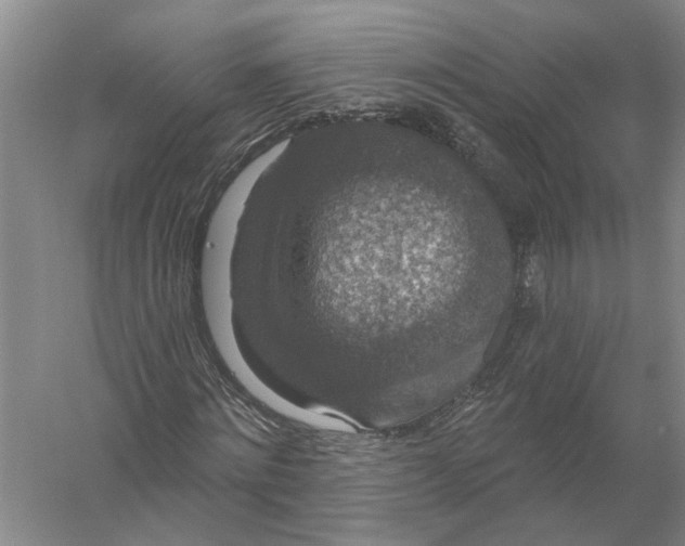 X0000056350868200509232103