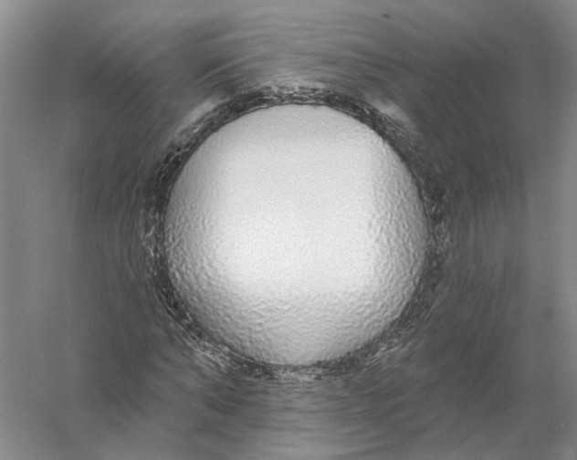 X0000056350870200509232103