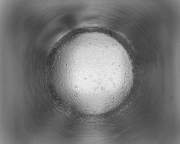 X0000056350871200509232103