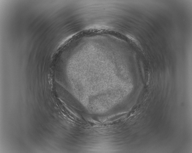 X0000056350872200509232102