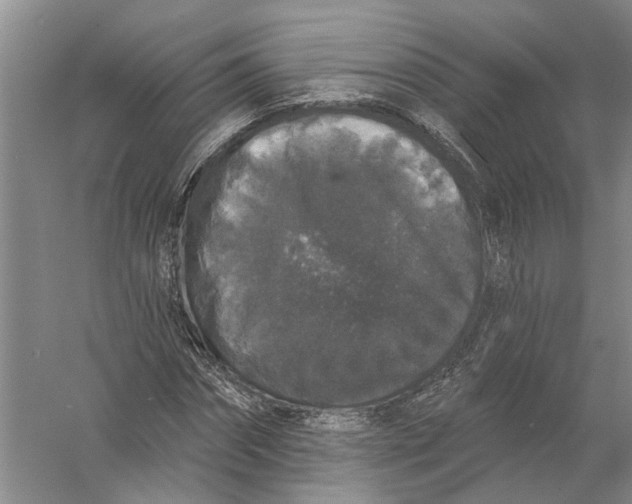 X0000056350874200509232102