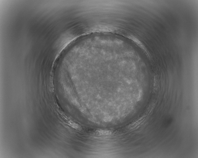 X0000056350878200509232102