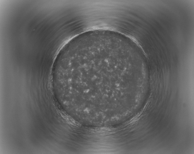 X0000056350879200509232102