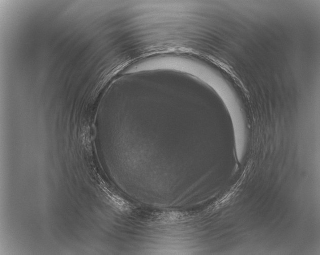 X0000056350881200509232102