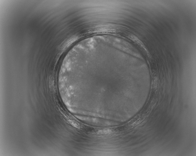 X0000056350882200509232102