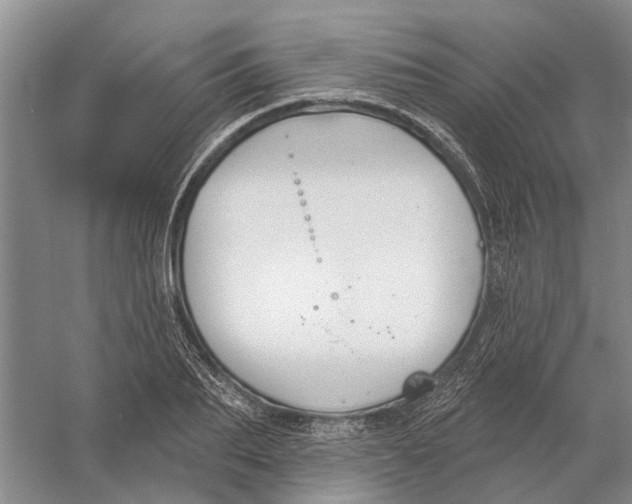 X0000056350887200509232102