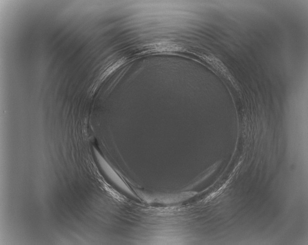 X0000056350889200509232102