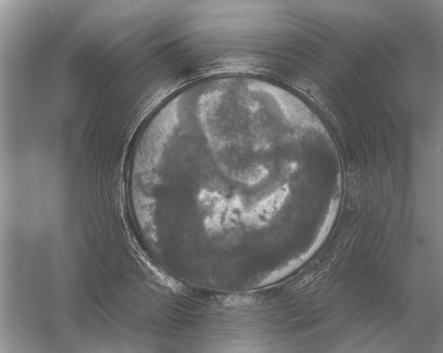 X0000056350890200509232102