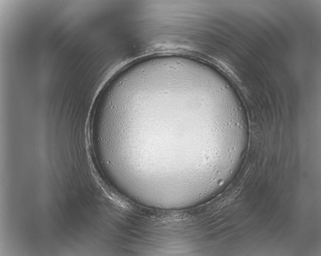 X0000056350891200509232102