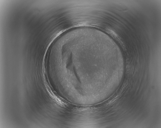 X0000056350892200509232102