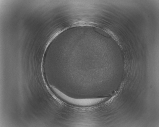 X0000056350893200509232102