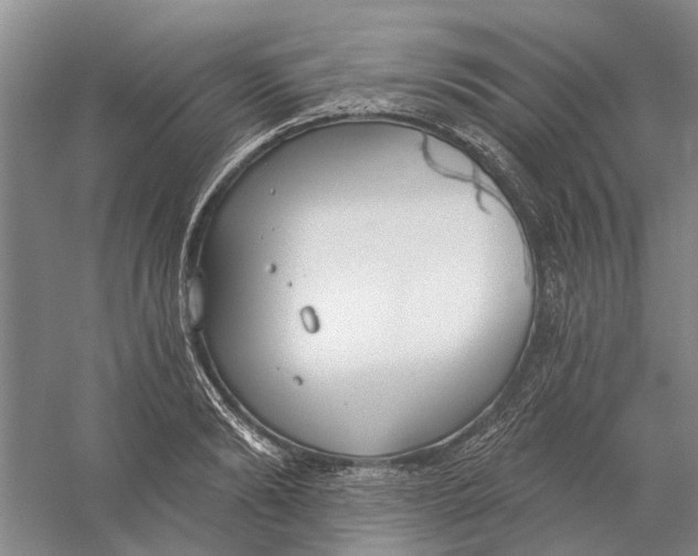 X0000056350894200509232102