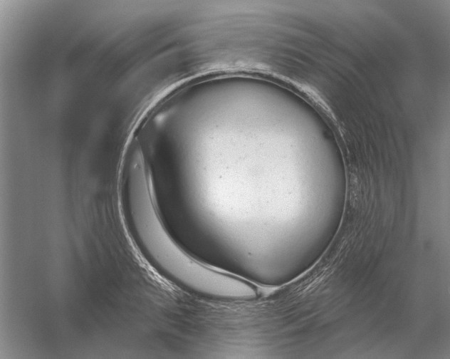 X0000056350895200509232102