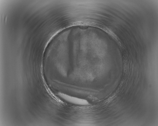 X0000056350896200509232102