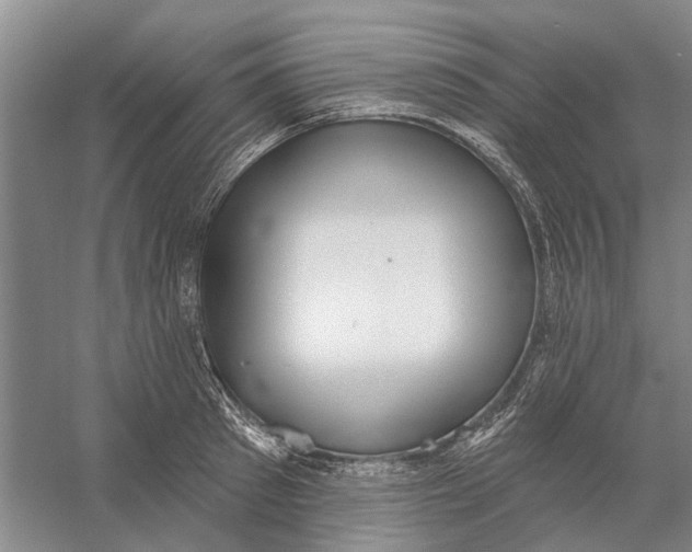 X0000056350897200509232102