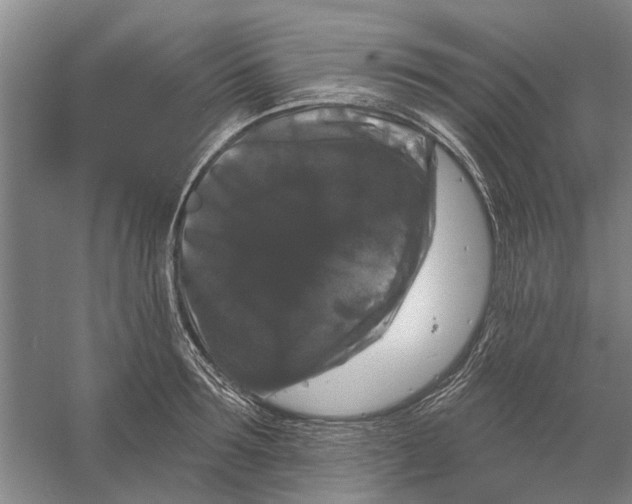 X0000056350899200509232102