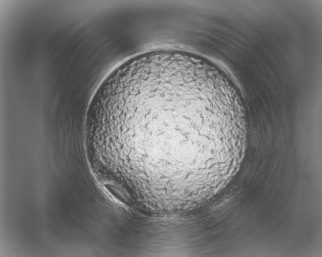 X0000056350903200509232102