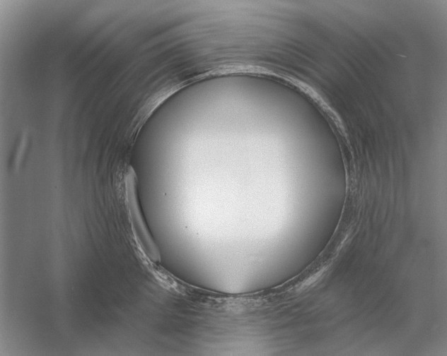 X0000056350905200509232102