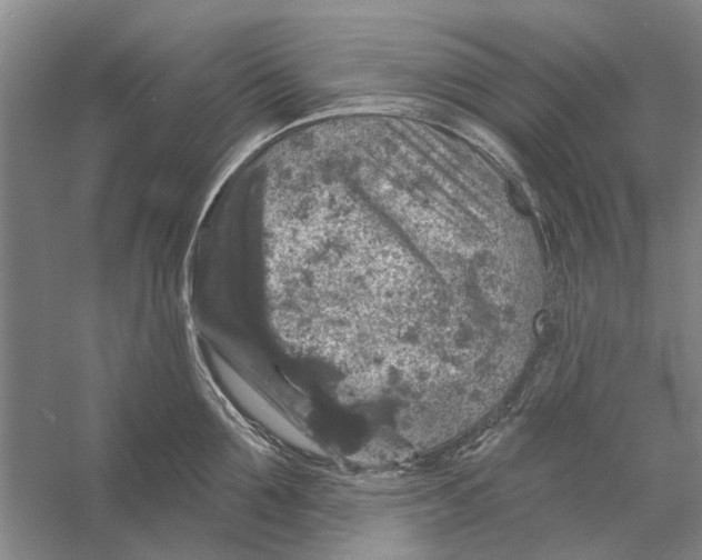 X0000056350907200509232102