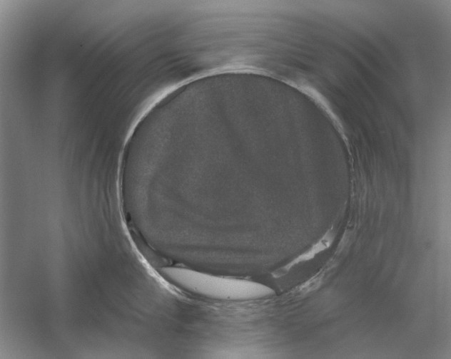 X0000056350910200509232102