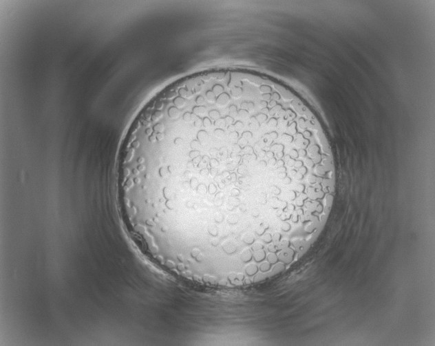 X0000056350911200509232102