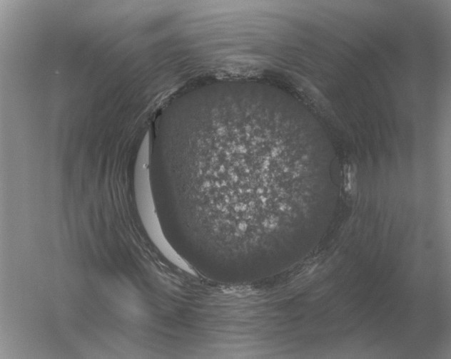 X0000056350915200509232101