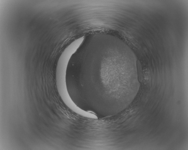 X0000056350916200509232101