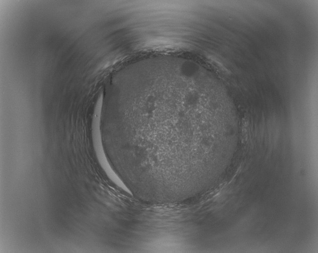 X0000056350917200509232101