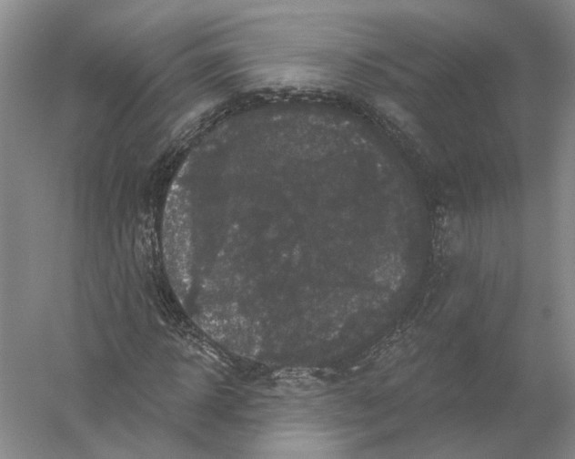 X0000056350918200509232101