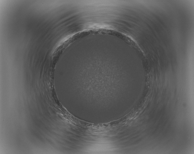 X0000056350919200509232101