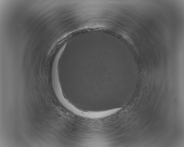 X0000056350920200509232101