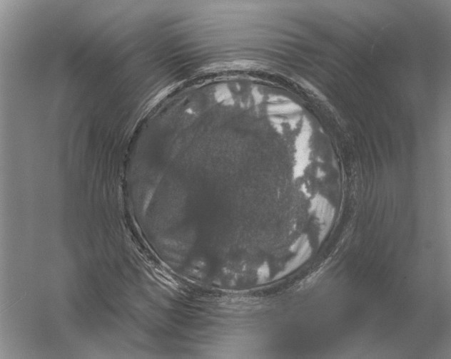 X0000056350921200509232101