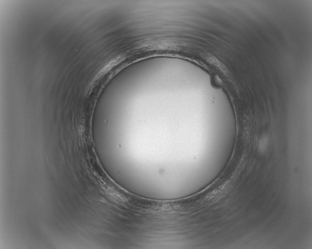 X0000056350922200509232101