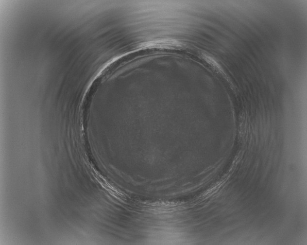 X0000056350923200509232101