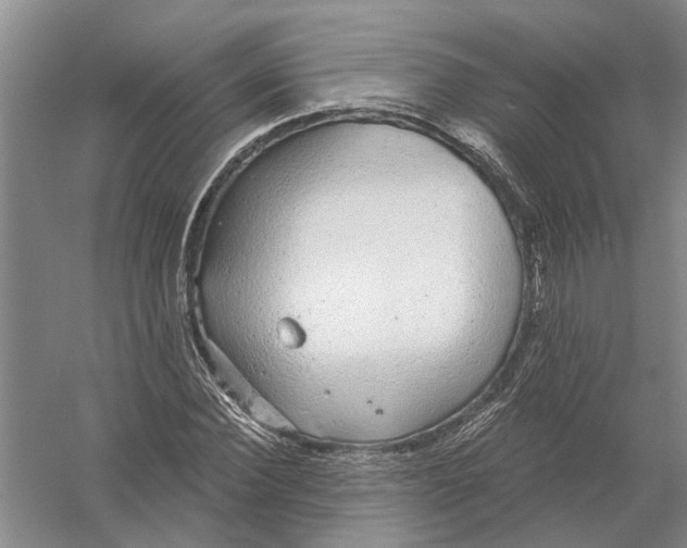 X0000056350924200509232101