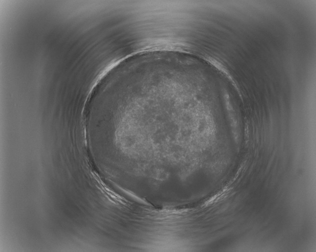 X0000056350925200509232101