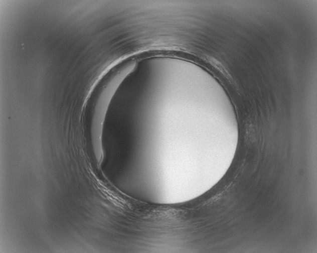 X0000056350926200509232101