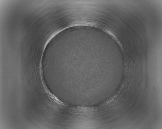 X0000056350928200509232101