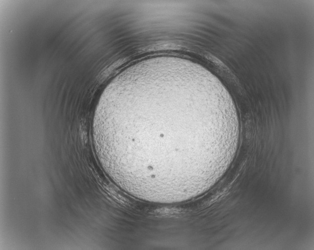 X0000056350929200509232101