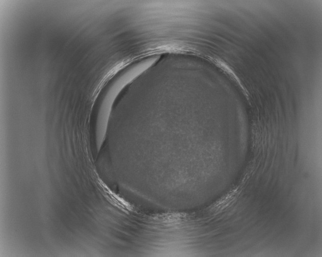 X0000056350930200509232101